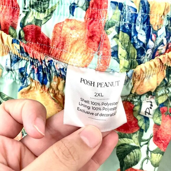 NWT Posh Peanut Lucia Fruit Print Men’s Swim Trunks Size 2XL - Picture 2 of 6